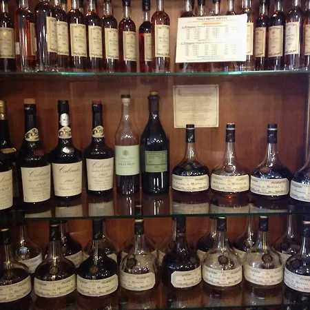 Hotel Restaurant La Martiniere